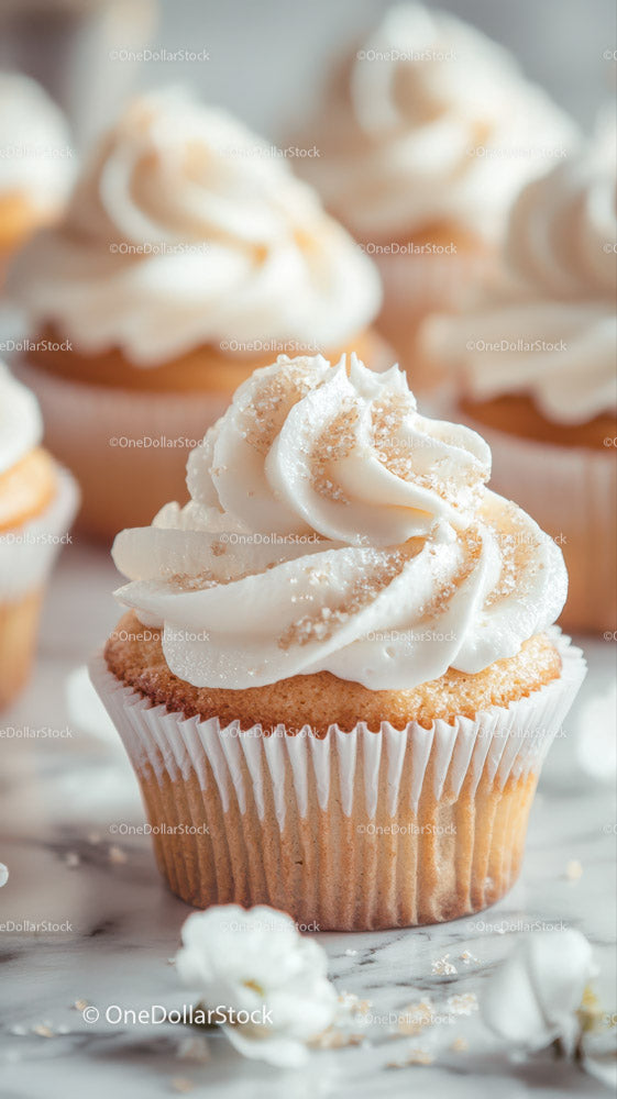 Vanilla Cupcake with White Frosting for Celebration or Dessert