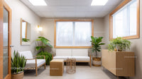 Bright Modern Office with Indoor Plants and Cozy Seating Area