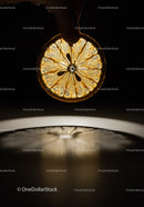 Hand Holding Translucent Dried Orange Slice with Shadow