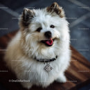 Cute Fluffy Dog Smiling Portrait with White and Brown Fur