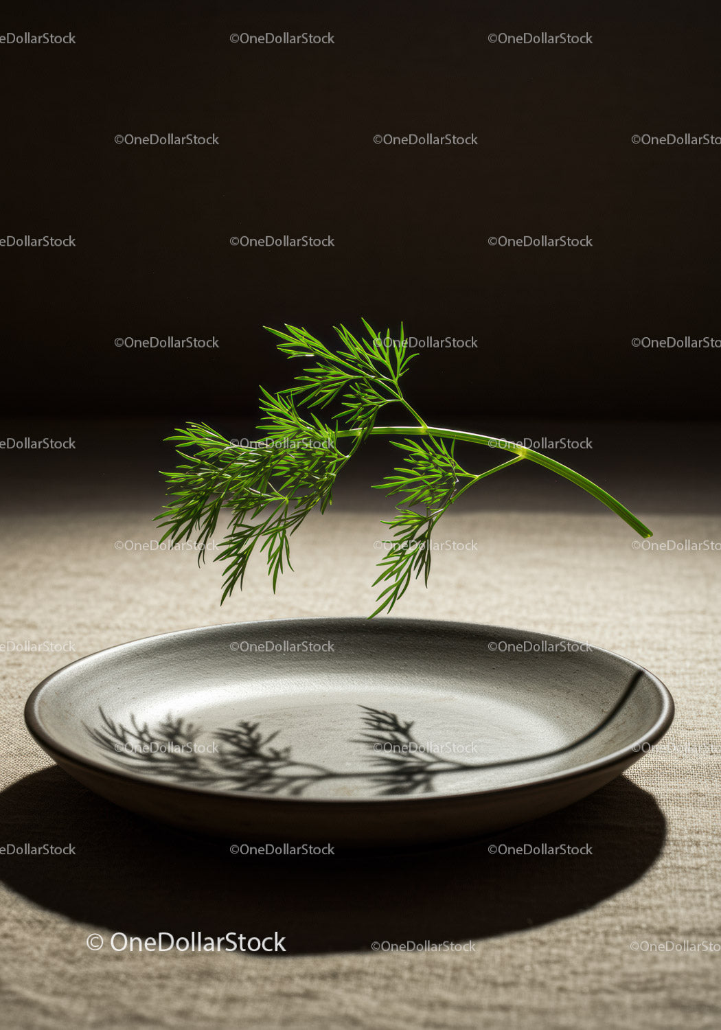 Fresh dill sprig casting shadow on ceramic plate