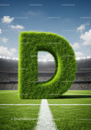 Large Grass Letter D on Football Field in Stadium