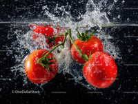 Fresh Red Tomatoes on Vine with Water Splash