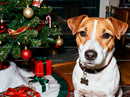 Cute dog sitting near decorated Christmas tree with gifts