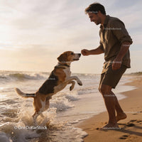 Man training his dog on a sunny beach shore
