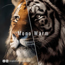 Mono Warm Lightroom presets cover preview