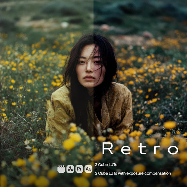 Retro (6 LUTs)