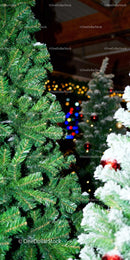 Festive Christmas Trees Decorated with Lights and Ornaments