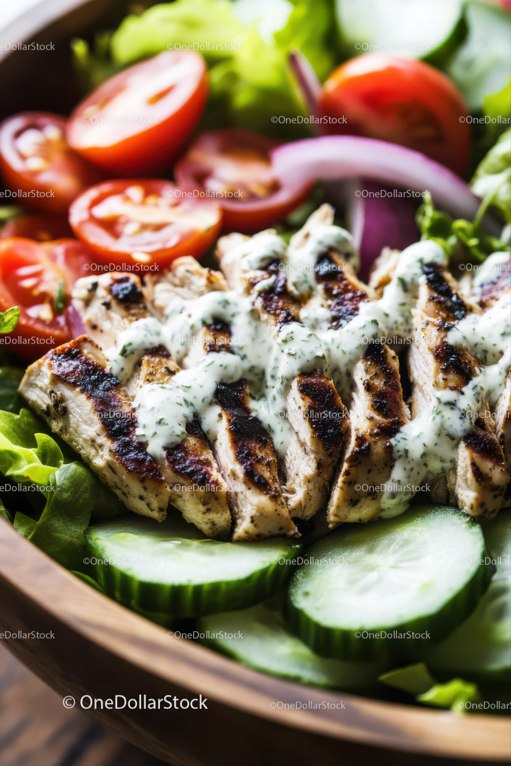 Grilled Chicken Salad with Fresh Vegetables and Herb Dressing