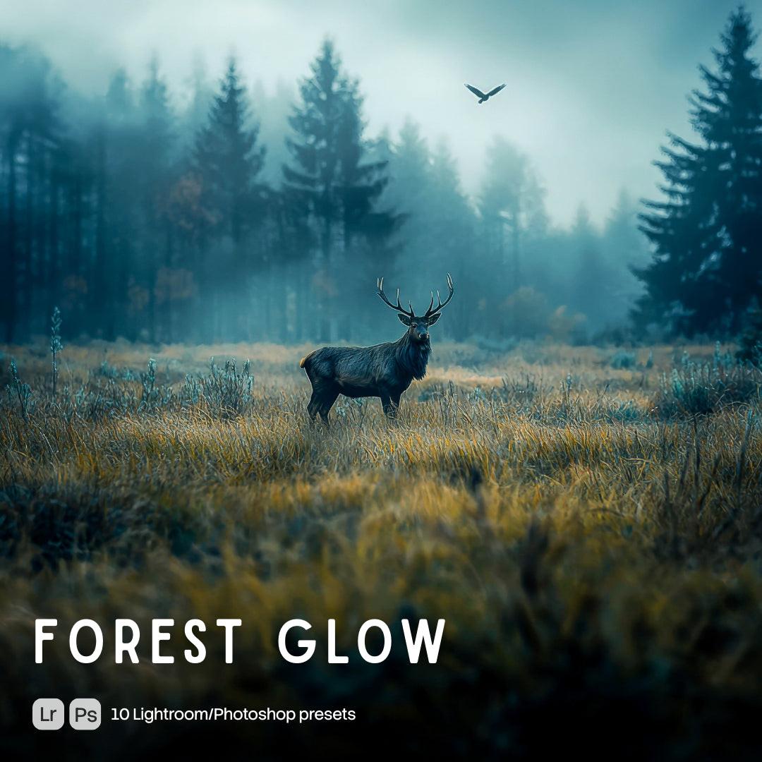 Forest Glow Lightroom presets cover preview