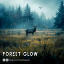 Forest Glow Lightroom presets cover preview