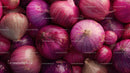 Close-up of Red and Purple Onions for Cooking and Food Photography