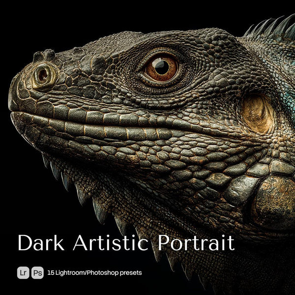 Dark Artistic Portrait Presets (15 XMP files)