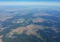 Aerial View of Green Forests and Farmland with Rural Roads