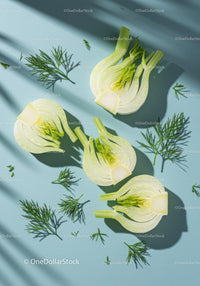 Fresh fennel bulbs with dill sprigs on blue surface