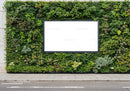 Modern Green Wall with Large Blank Outdoor Display