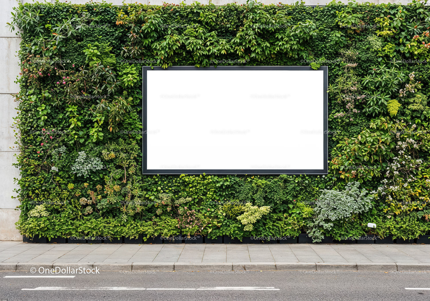 Modern Green Wall with Large Blank Outdoor Display