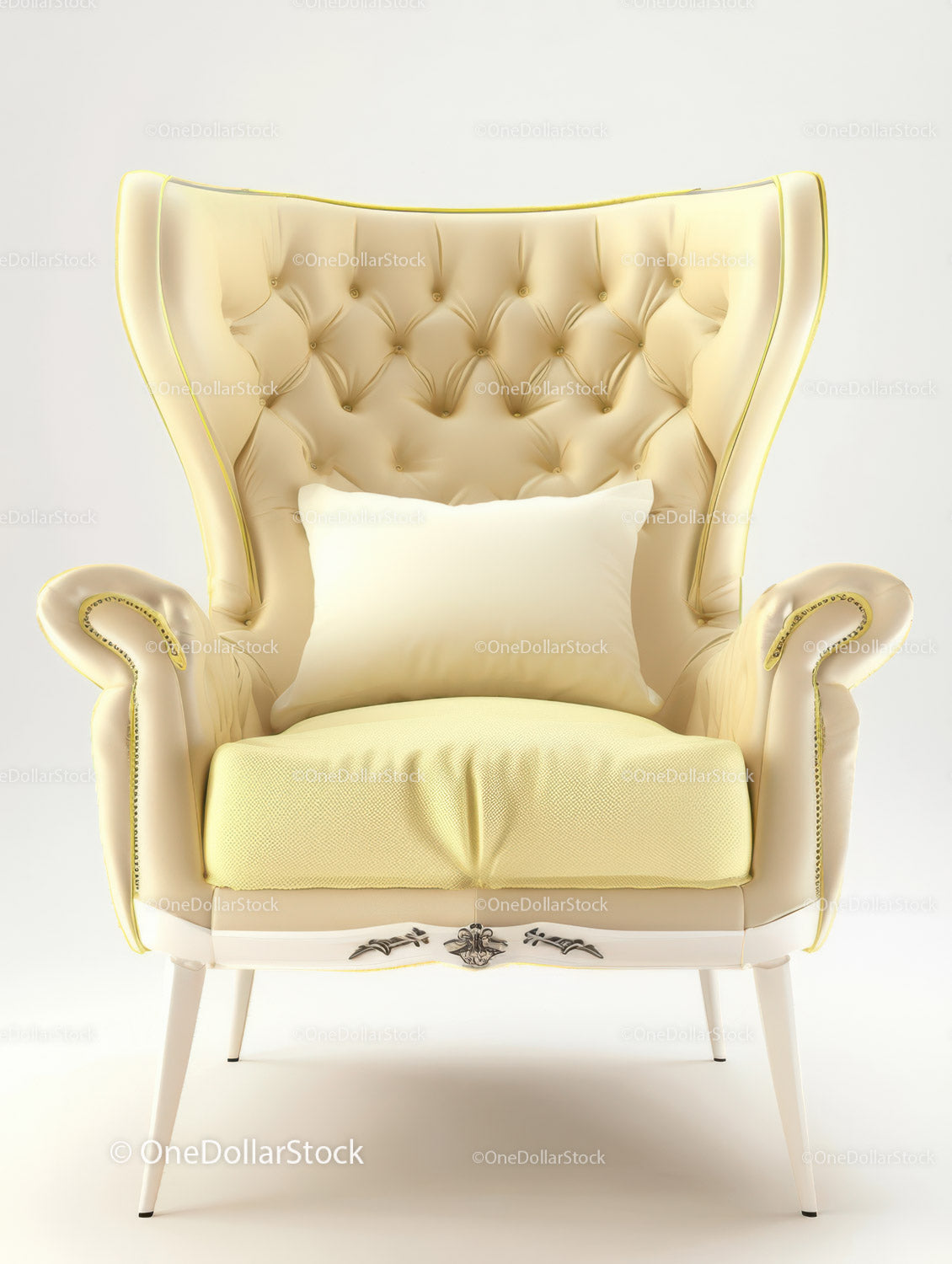 Elegant Vintage Armchair with Tufted Backrest and Plush Cushion