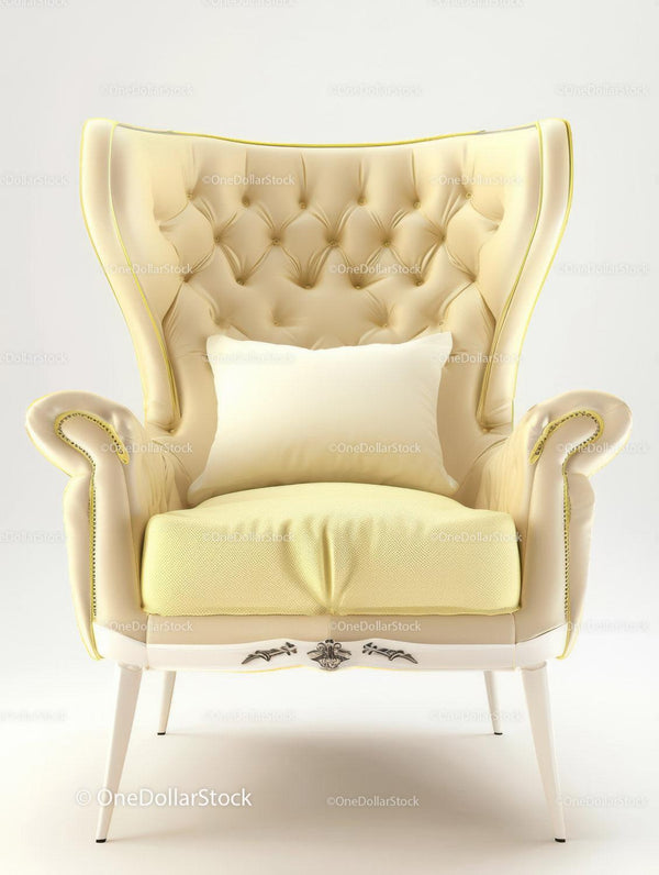 Elegant Vintage Armchair with Tufted Backrest and Plush Cushion