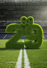 Green Grass 29 Number on Football Field Line