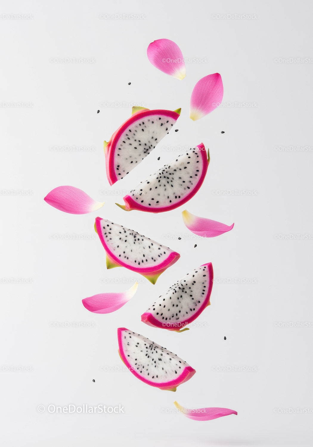 Floating dragon fruit slices with pink petals on white