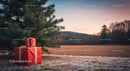 Christmas gifts under pine tree in quiet snowy field