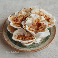 Close-up of Fresh Oyster Mushrooms on Rustic Plate for Gourmet Cuisine