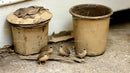 Rustic Garden Scene With Small Birds and Weathered Flower Pots