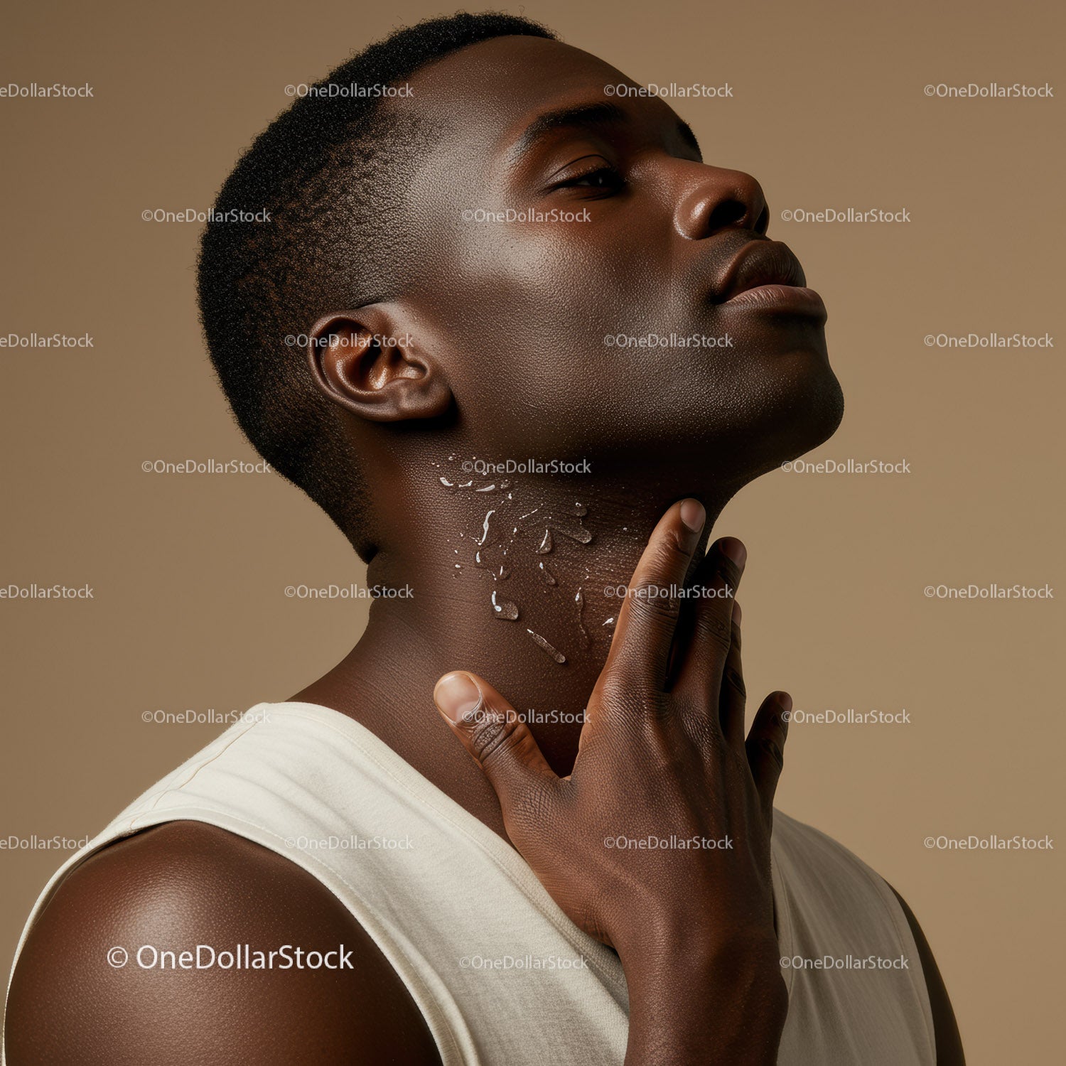 Elegant Black Woman with Stylish Hair and Confident Expression