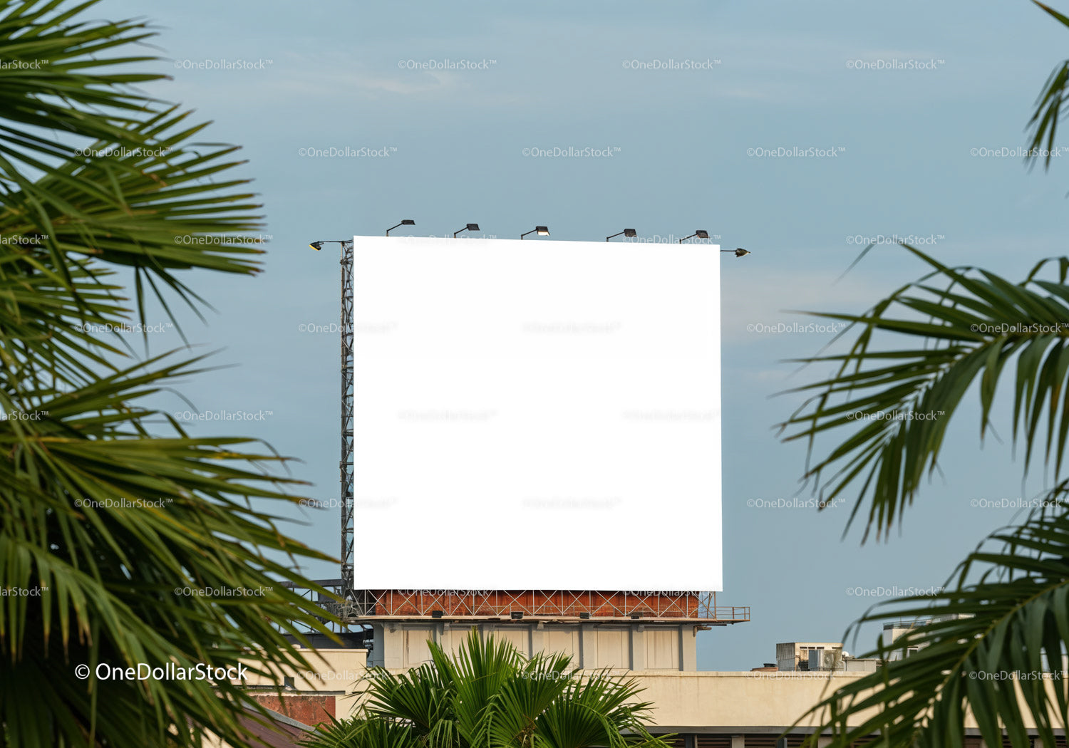 Empty urban billboard framed by tropical palm leaves