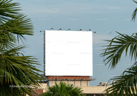 Empty urban billboard framed by tropical palm leaves