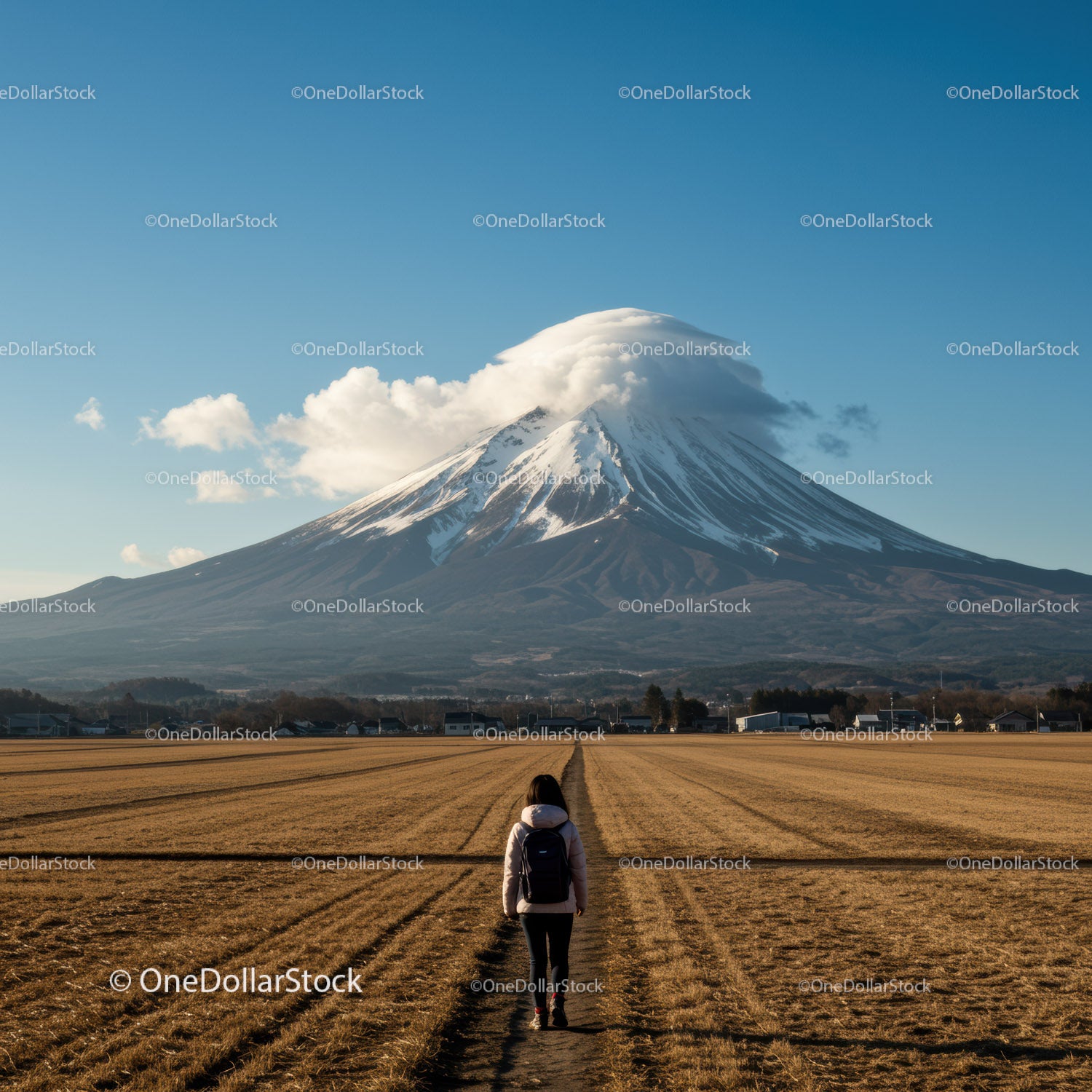 Snow-Capped Mountain Volcano Over Golden Field with Person Hiking