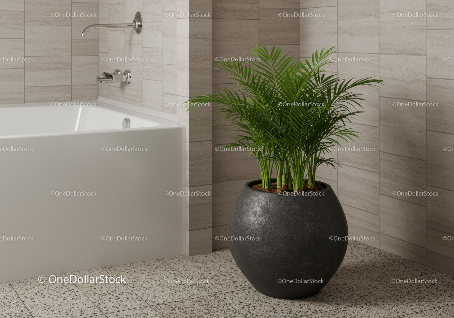Green Palm Plant in Stylish Black Pot in Modern Bathroom