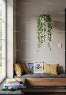 Green Hanging Plant in Minimalist Cozy Living Room for Relaxation