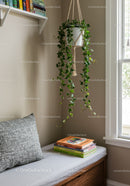 Indoor Ivy Hanging Plant in Cozy Home Corner with Natural Light