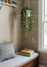 Indoor Ivy Hanging Plant in Cozy Home Corner with Natural Light