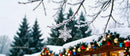 Frosted Snowflake Ornament Hanging on Winter Branch