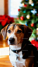 Calm dog sitting near decorated Christmas tree indoors