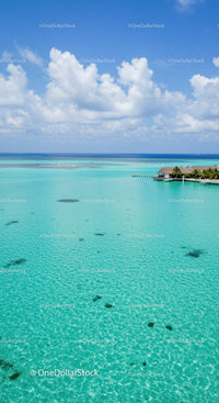 Tropical Overwater Bungalow Surrounded by Clear Turquoise Ocean and Blue Sky