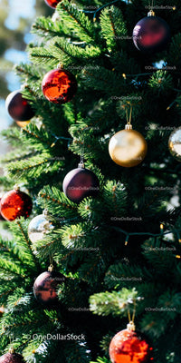 Close-up of Christmas tree decorated with colorful baubles