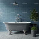 Classic clawfoot bathtub with green plants in stylish bathroom