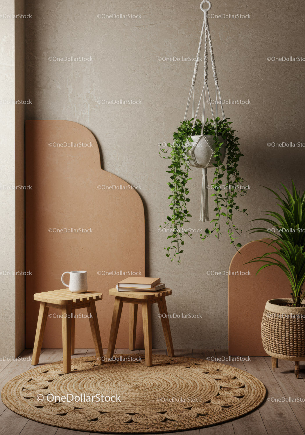 Modern Interior with Hanging Macrame Planter and Indoor Plants
