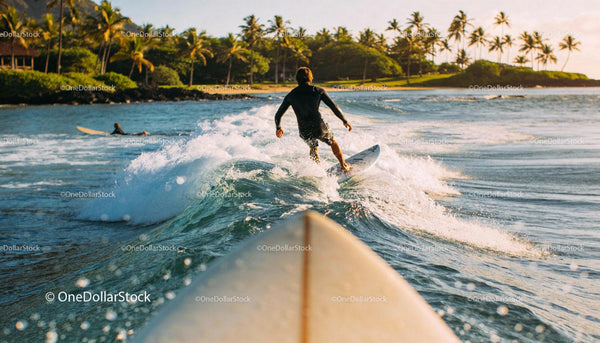 Surfer Riding Ocean Wave Near Tropical Shoreline