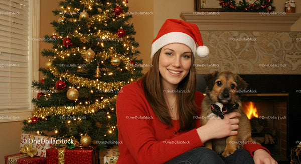 Smiling woman in Santa hat with dog by Christmas tree