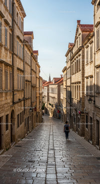 Narrow cobblestone street with historic buildings in a European city