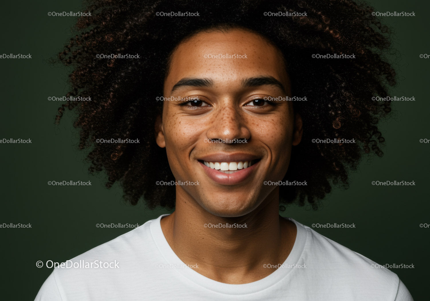 Beautiful Afro-American Woman Smiling Portrait with Curly Hair