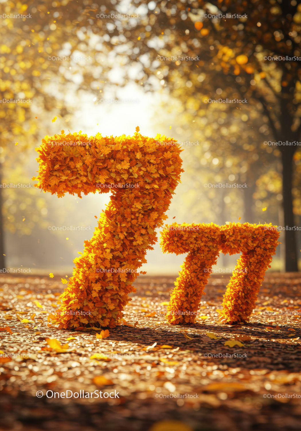 Autumn leaves forming number seven in forest park