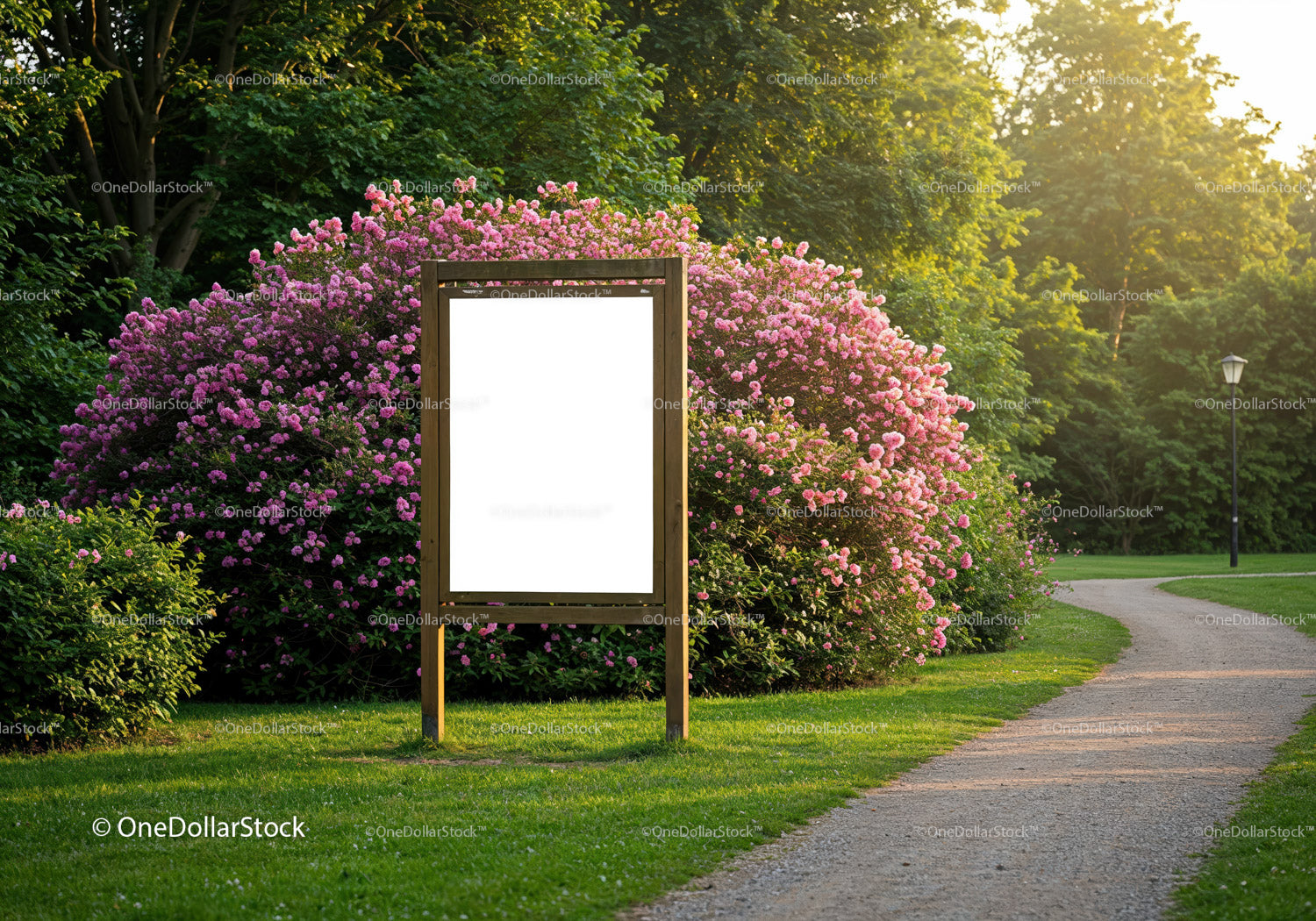 Sunlit Pathway with Floral Bushes and Blank Signboard