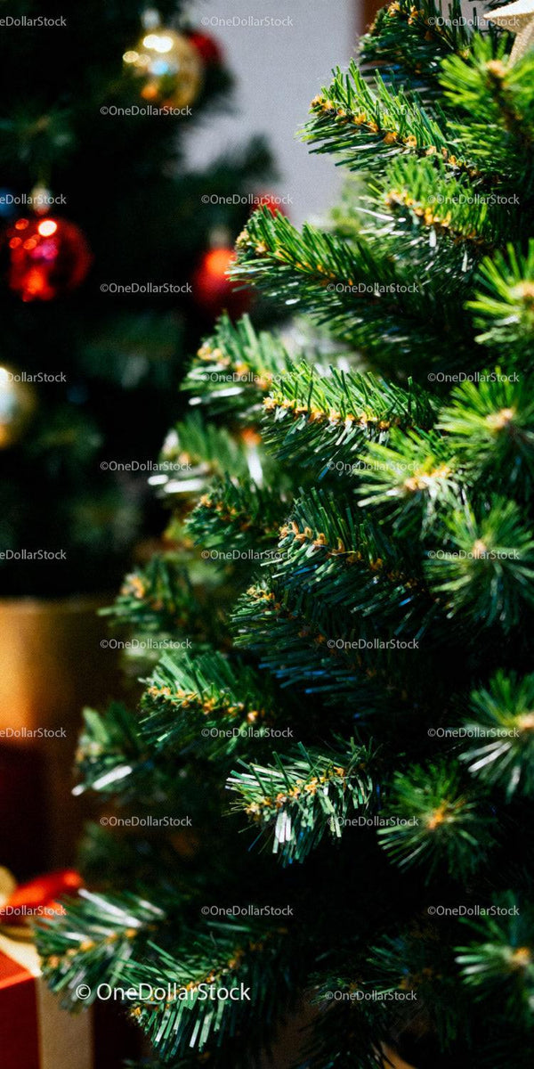 Close-up of Christmas tree branches with blurred ornaments