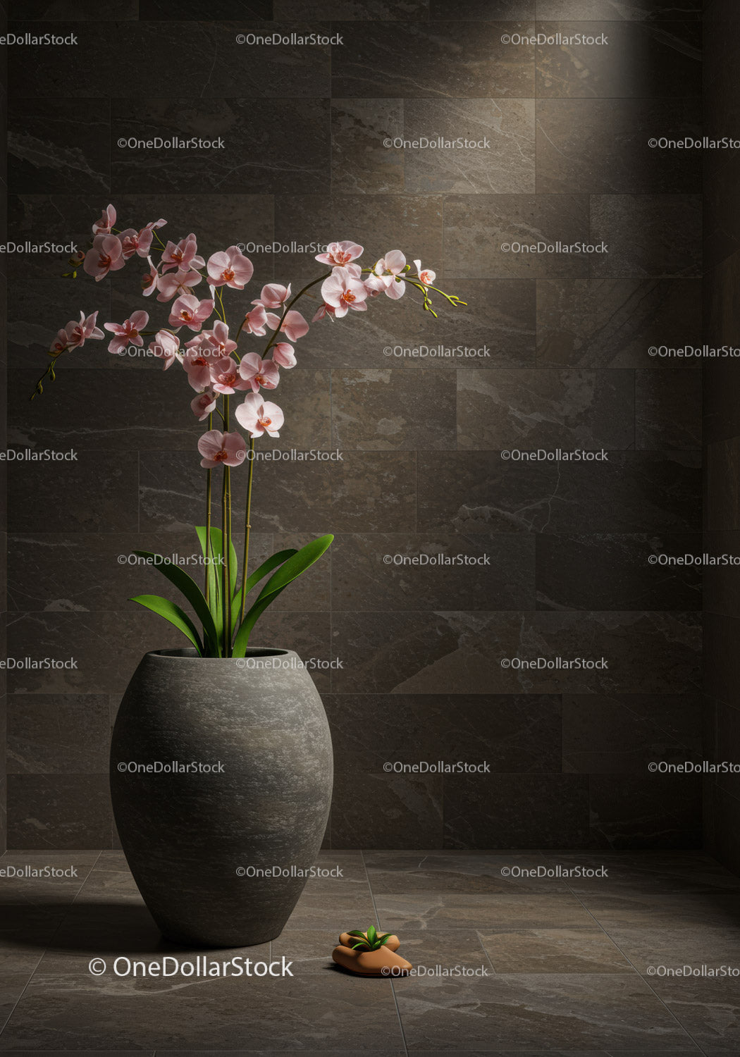 Różowy kwiat orchidei w szarej doniczce na ciemnej, kafelkowej podłodze